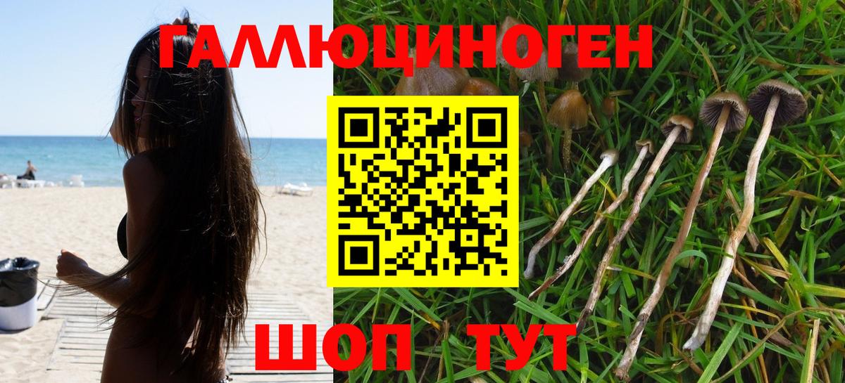 Прокопьевск  Псилоцибиновые грибы GOLDEN TEACHER  Вход с VPN 